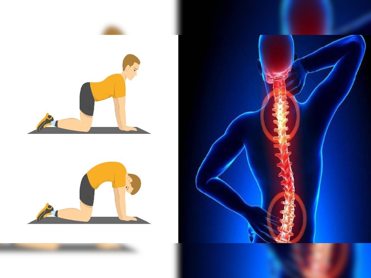 Back Pain Relieve yoga