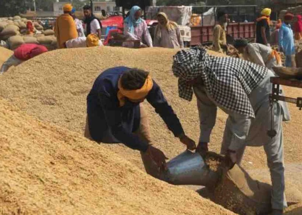 Jharkhand Dhan Khareed: 15 दिसंबर से शुरू होगी झारखंड में धान की खरीद, इस बार इतना है खरीद का लक्ष्य