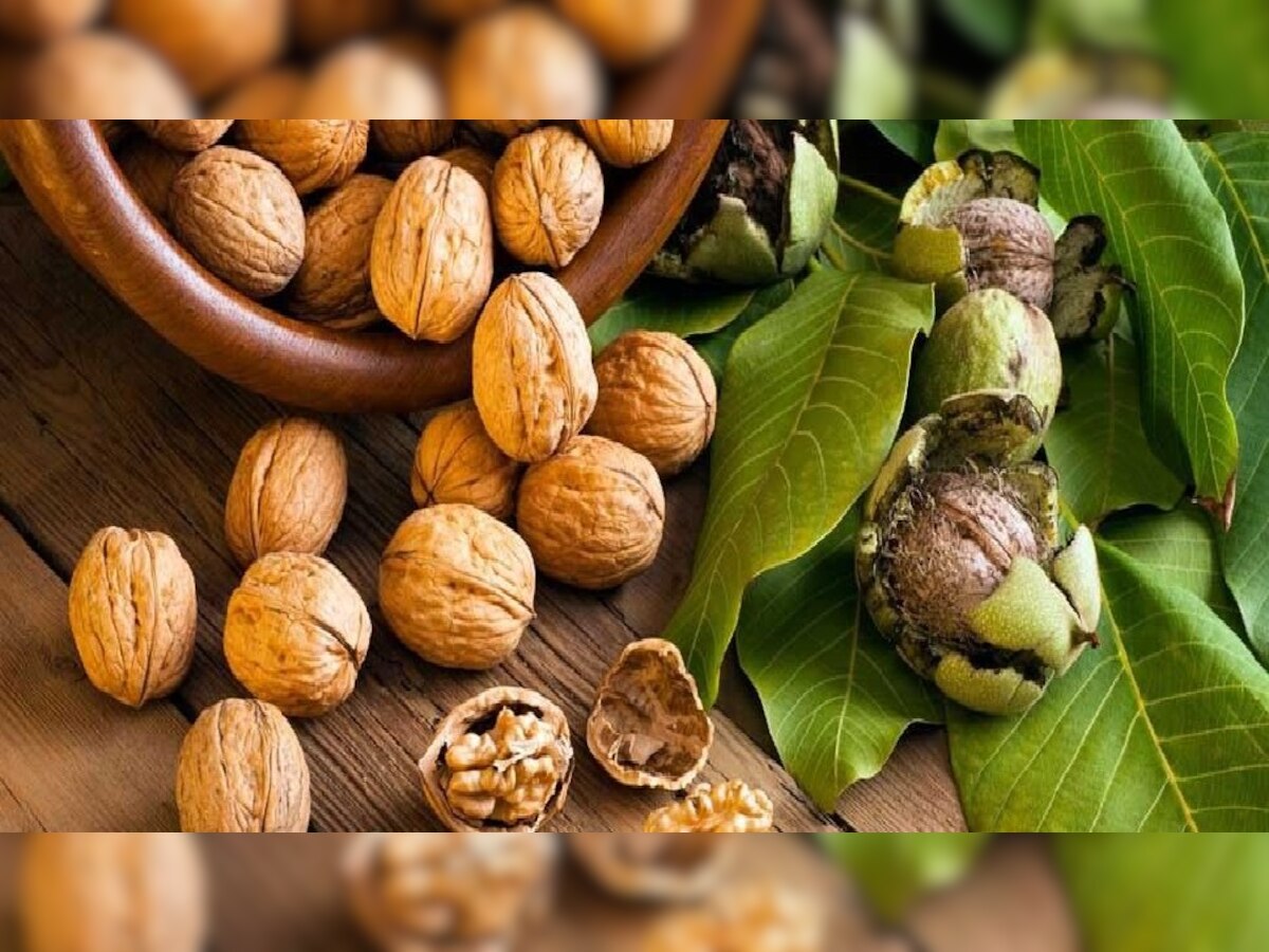 benefits of soaked walnuts