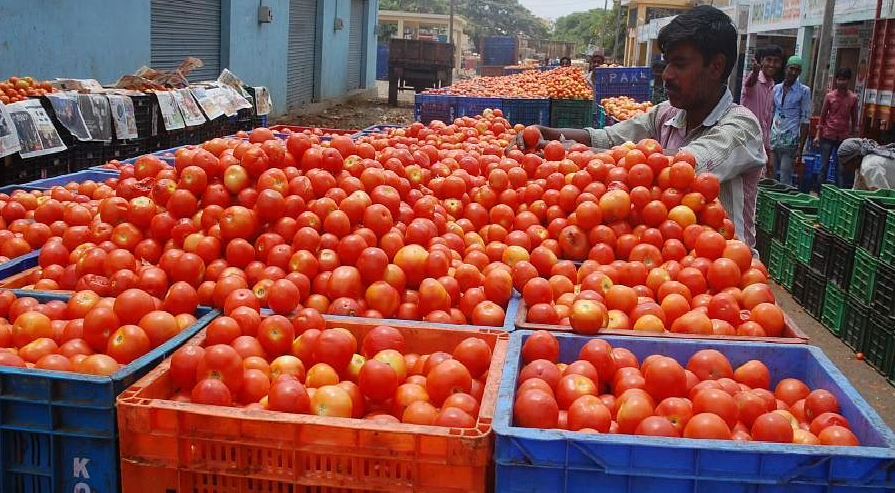 देश में आसमान छू रही टमाटर की कीमत, इन राज्यों में 140 के पार पहुंचा आंकड़ा