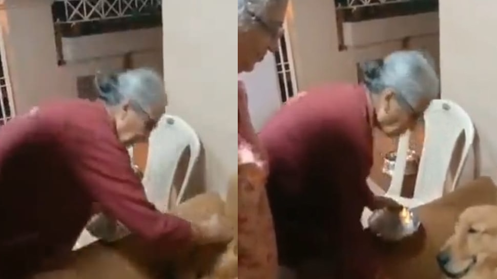 कभी देखा है कुत्ते का ऐसा बर्थडे? अरबों की मालकिन ने जो किया देखकर डॉगी से हो जाएगी जलन