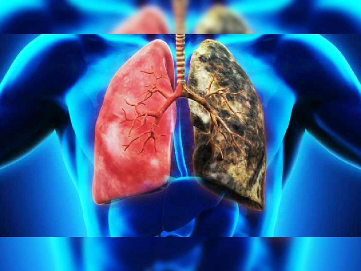 Harmful Food for Lung