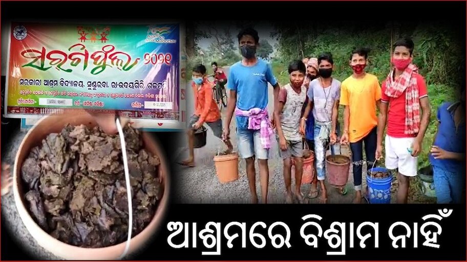 ଗୋବର ବିଦ୍ୟା! କଅଁଳ କଢ଼ଙ୍କ ଖତରେ ଫୁଟୁଛି ସରଗୀଫୁଲ