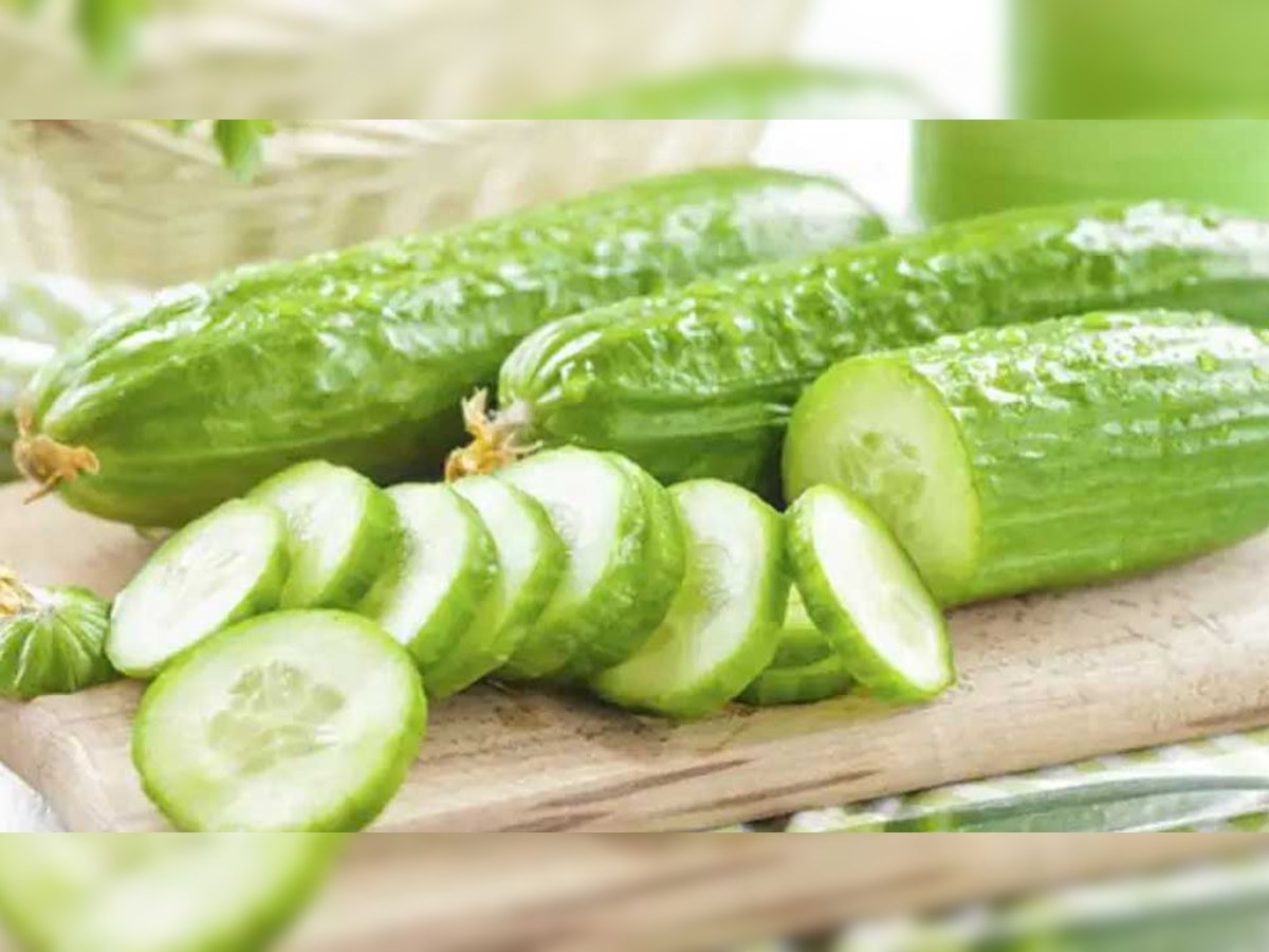 Cucumber Side Effects: खीरा खाने के बाद क्यों नहीं पीना चाहिए पानी? जानिए इसके नुकसान