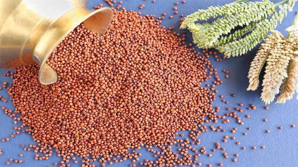 राशन दुकानों में मिलेंगे ज्वार और रागी जैसे मोटे अनाज; सरकार ने कानून में किया बदलाव राशन दुकानों में मिलेंगे ज्वार और रागी जैसे मोटे अनाज; सरकार ने कानून में किया बदलाव