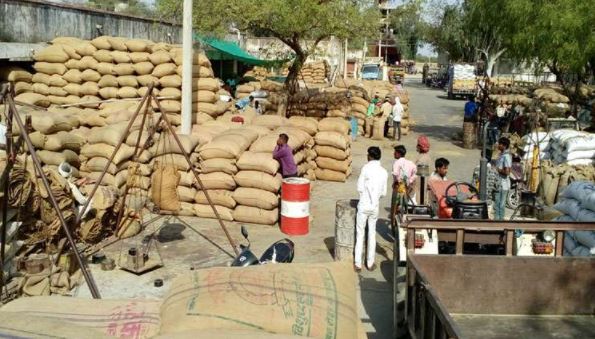 3 कृषि कानून रद्द होने के बाद UP में इतने फीसद मंडी शुल्क वसूला जाएगा, महंगाई बढ़ेगी