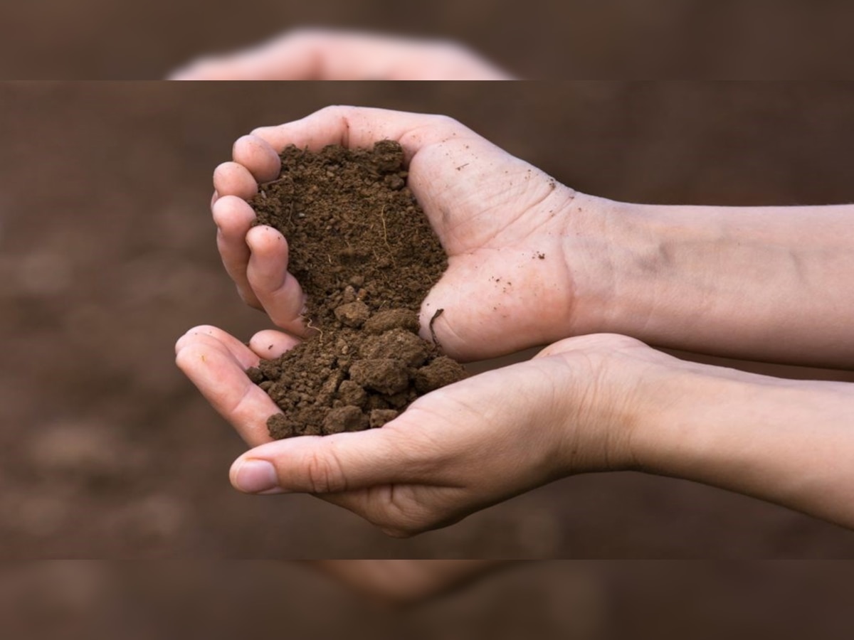 किसानों के लिए खुशखबरी! मोबाइल पर कुछ सेकंड में पता चलेगी मिट्टी की गुणवत्ता, IIT कानपुर ने बनाया ऐप