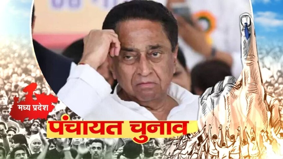 MP Panchayat elections Zafar fighting for the party did not get place ...