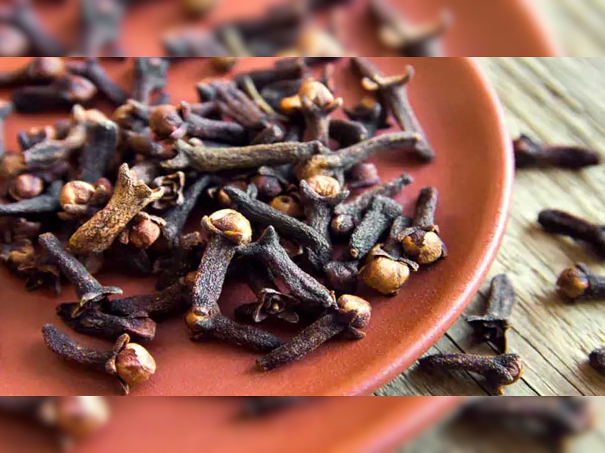 side effects of eating too much clove फायदा ही नहीं नुकसान भी पहुंचा