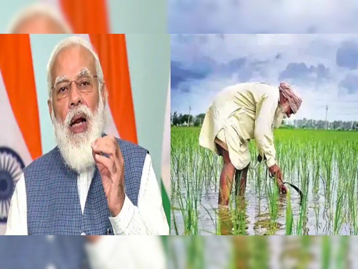 PM Kisan 10th Installment: किसानों के खाते में क्यों नहीं आई अभी तक 10वीं किस्त, जानें वजह 