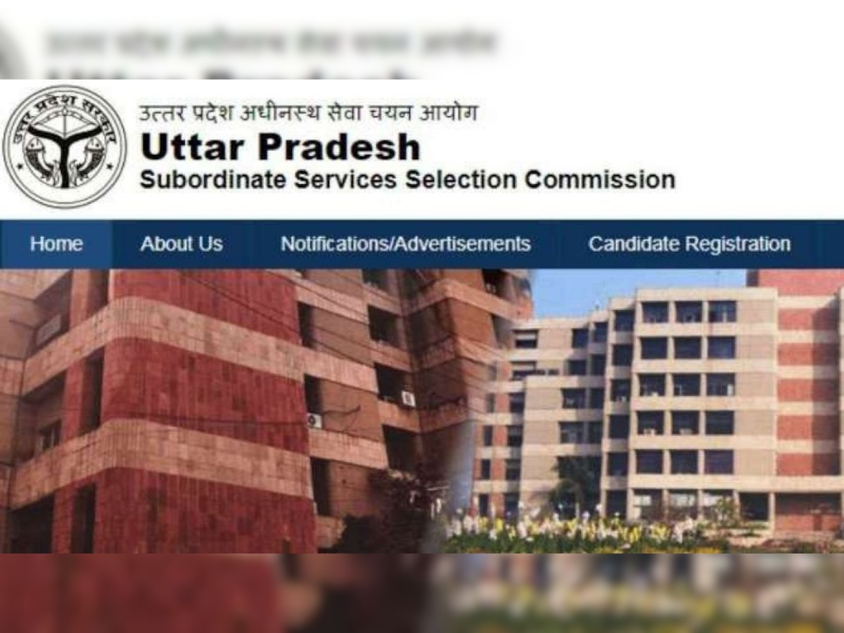 UPSSSC Lekhpal Bharti 2021: अब ये अभ्यर्थी ही दे सकेंगे एग्जाम, यहां जानें बड़ा अपडेट