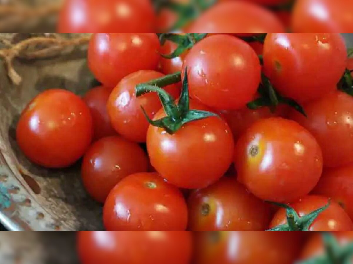 Tomato Side Effects: इन समस्याओं में भूल से भी न खाएं टमाटर, जानिए इसके खतरनाक साइड इफेक्ट