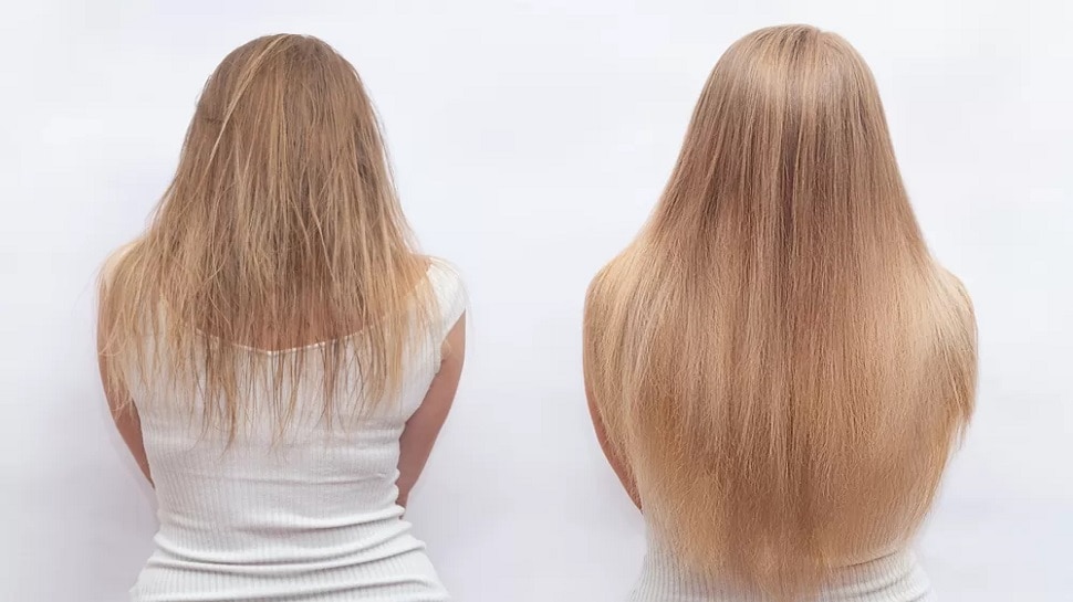 hair growth tips know how to make hair long janiye baal badhane ke upay samp | Hair Growth Tips: क्या बालों की ग्रोथ नहीं हो रही? तो ये रहा समाधान, जल्दी मिलता hair growth tips know how to make hair long janiye baal badhane ke upay samp | Hair Growth Tips: क्या बालों की ग्रोथ नहीं हो रही? तो ये रहा समाधान, जल्दी मिलता