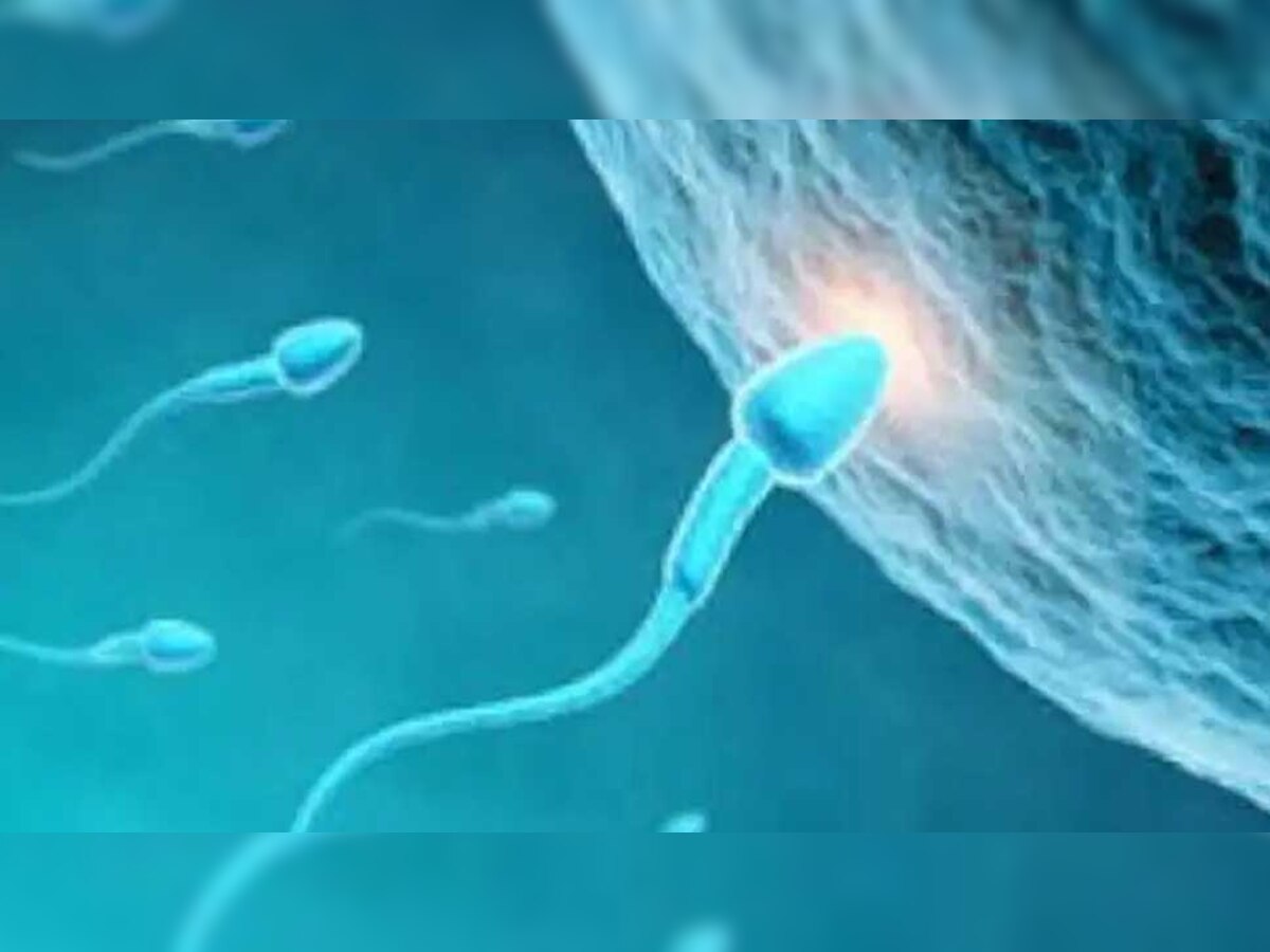 Male Infertility: इन 5 चीजों को खाने से पुरुषों में बढ़ती है इंफर्टिलिटी, भूल से भी न खाएं