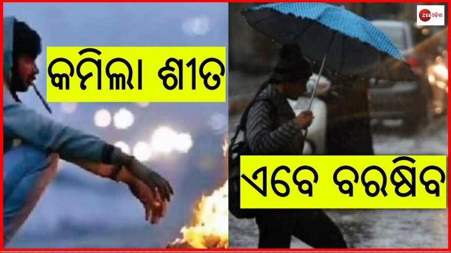 କମିଲା ଶୀତ; ଦୁଇଦିନ ଧରି ଏହି ଜିଲ୍ଲା ଗୁଡିକରେ ହେବ ବର୍ଷା 