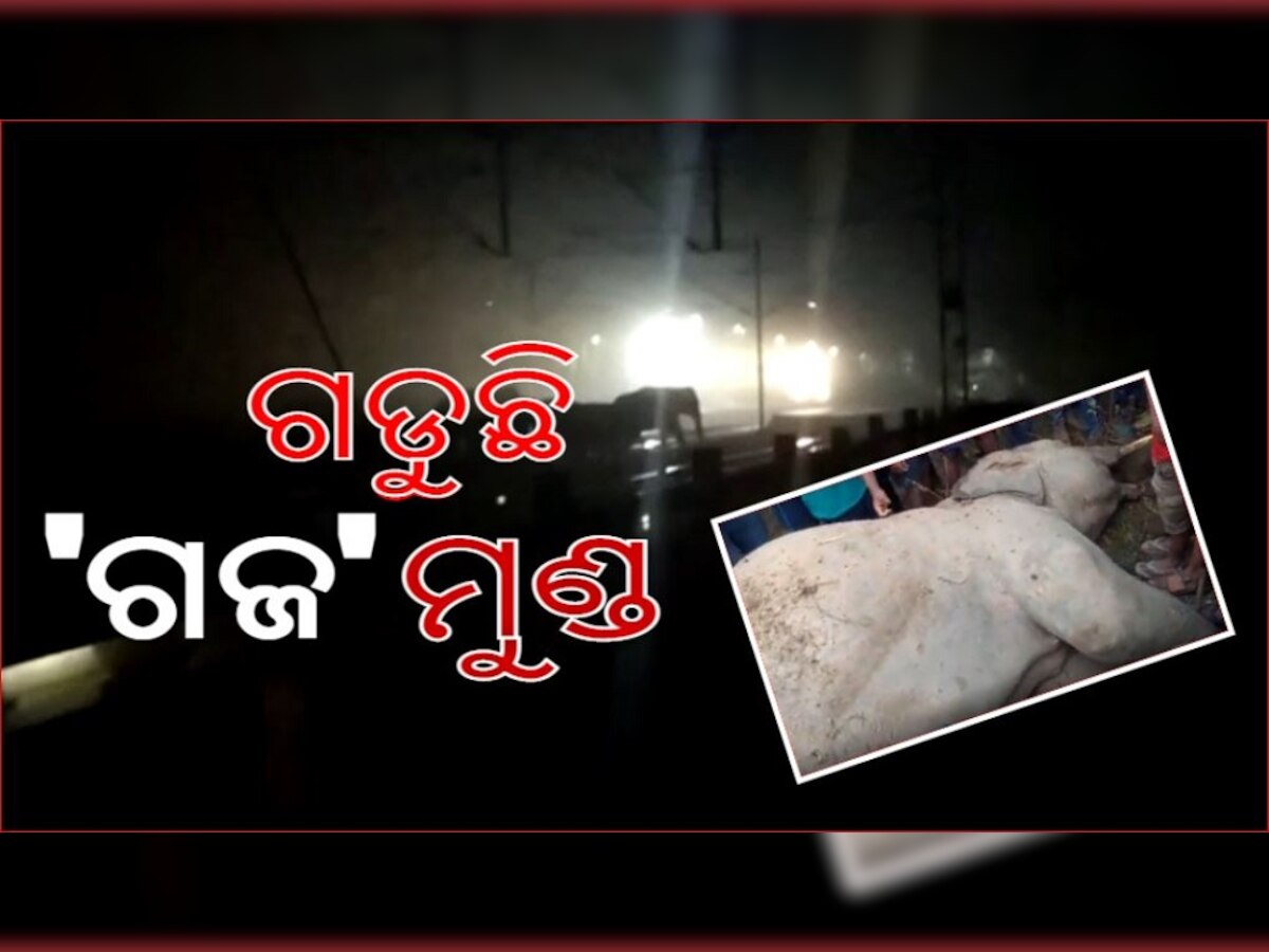 ଡିଜାଇନ୍ ଫଟୋ