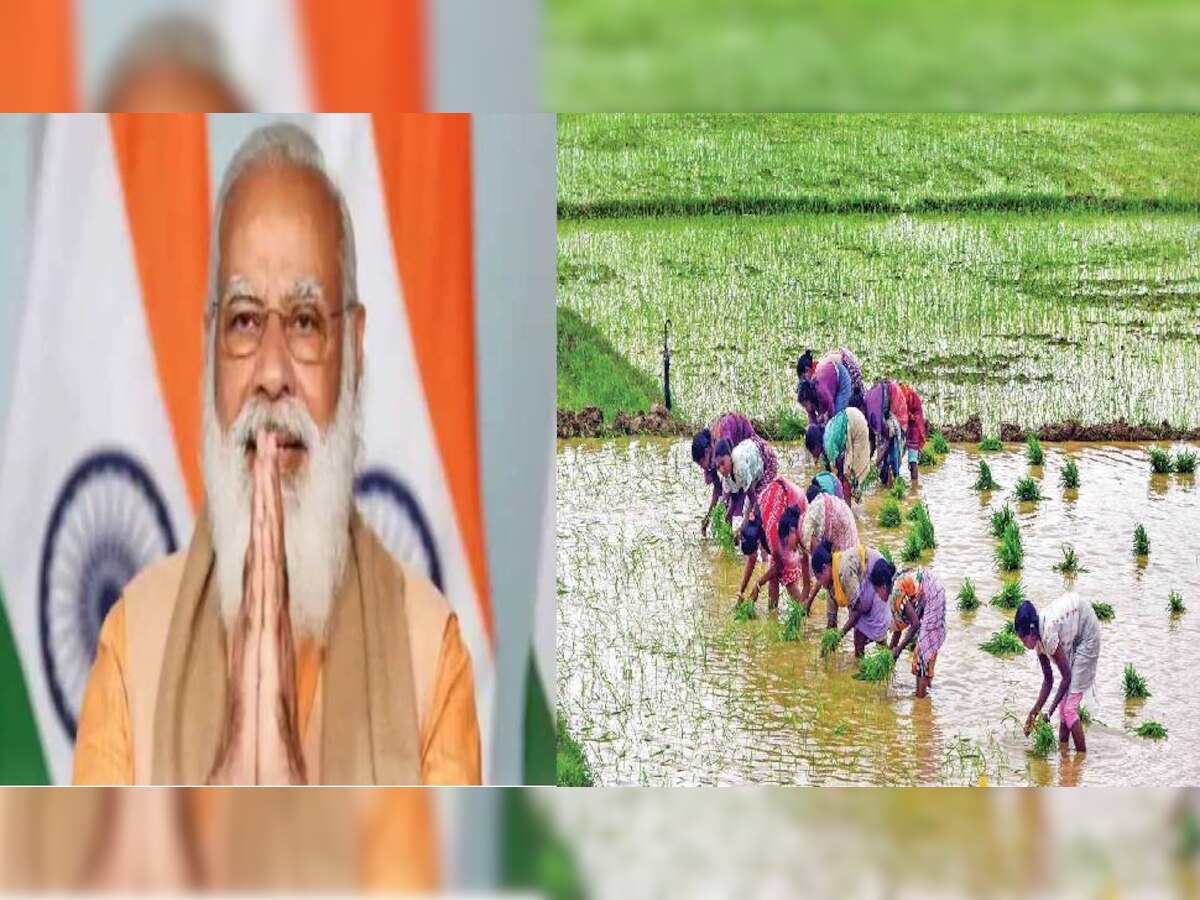 PM Kisan Samman Nidhi Yojana: 2 करोड़ से अधिक किसानों के खातों में नहीं आएगी 10वीं किस्त,जानें वजह...