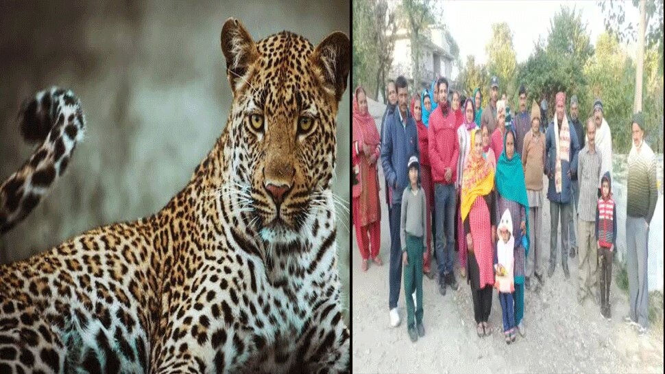 बिलासपुर की एक ऐसी जगह जहां दिन में भी दिखा आदमखोर तेंदुआ आतंक, ग्रामीणों ने लगाई ये गुहार
