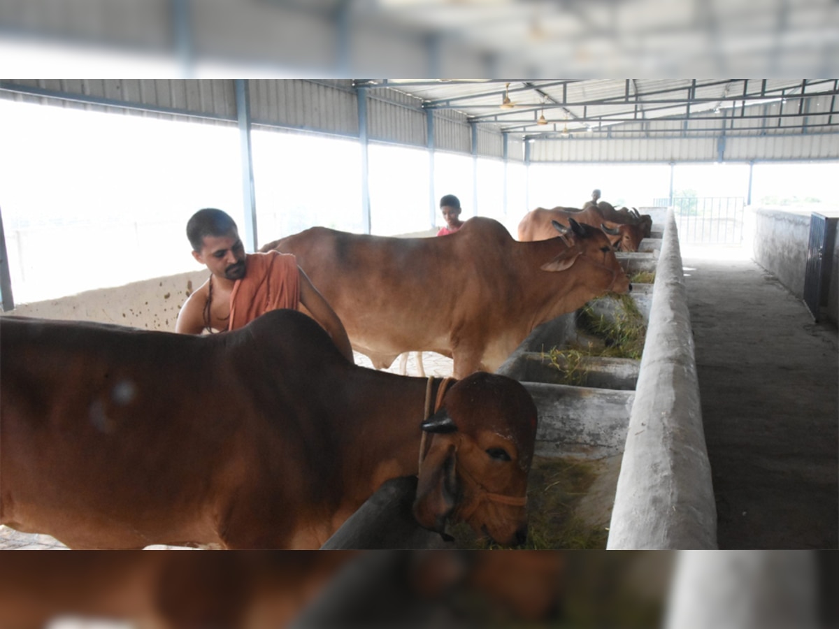 प्रतीकात्मक तस्वीर