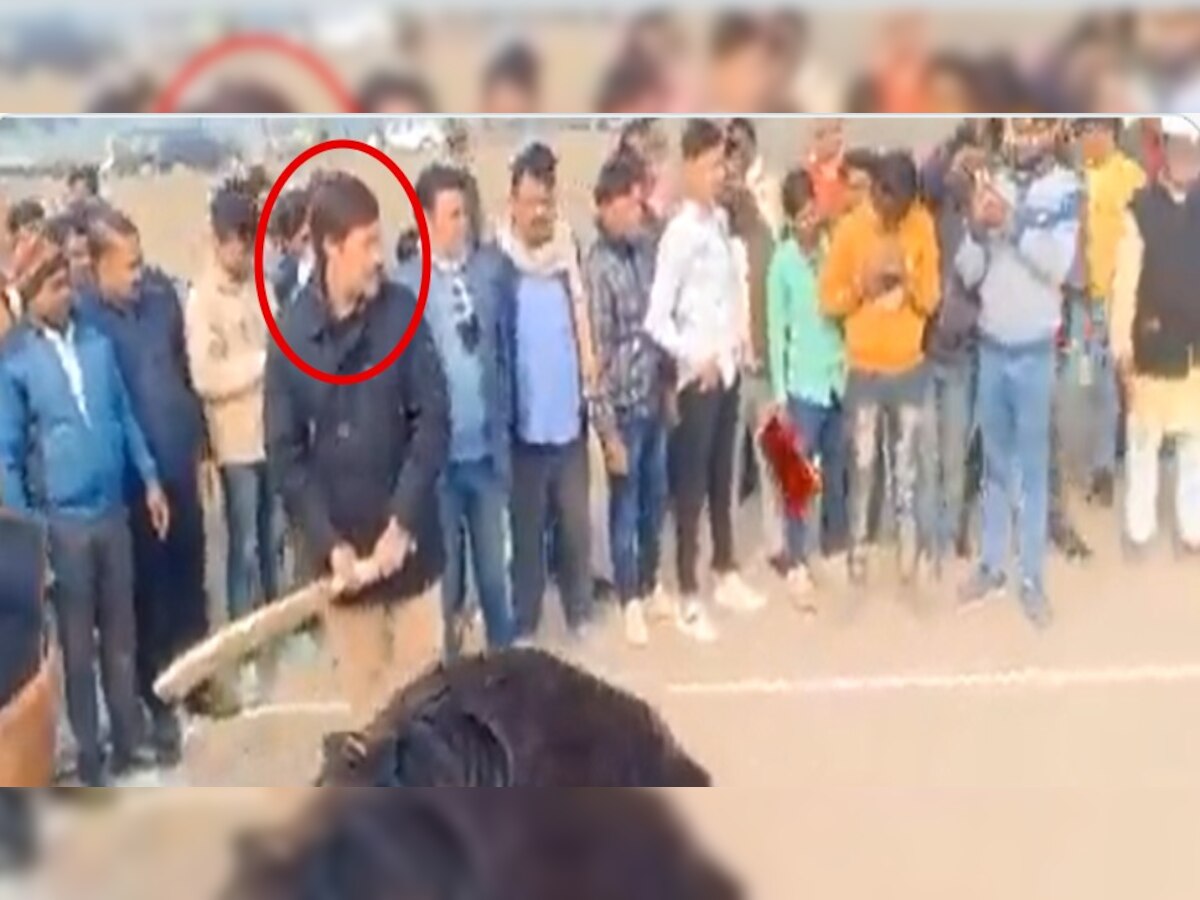 बाहुबली पूर्व सांसद भगोड़े धनंजय सिंह का क्रिकेट खेलते Video Viral, DGP ने दिया बयान