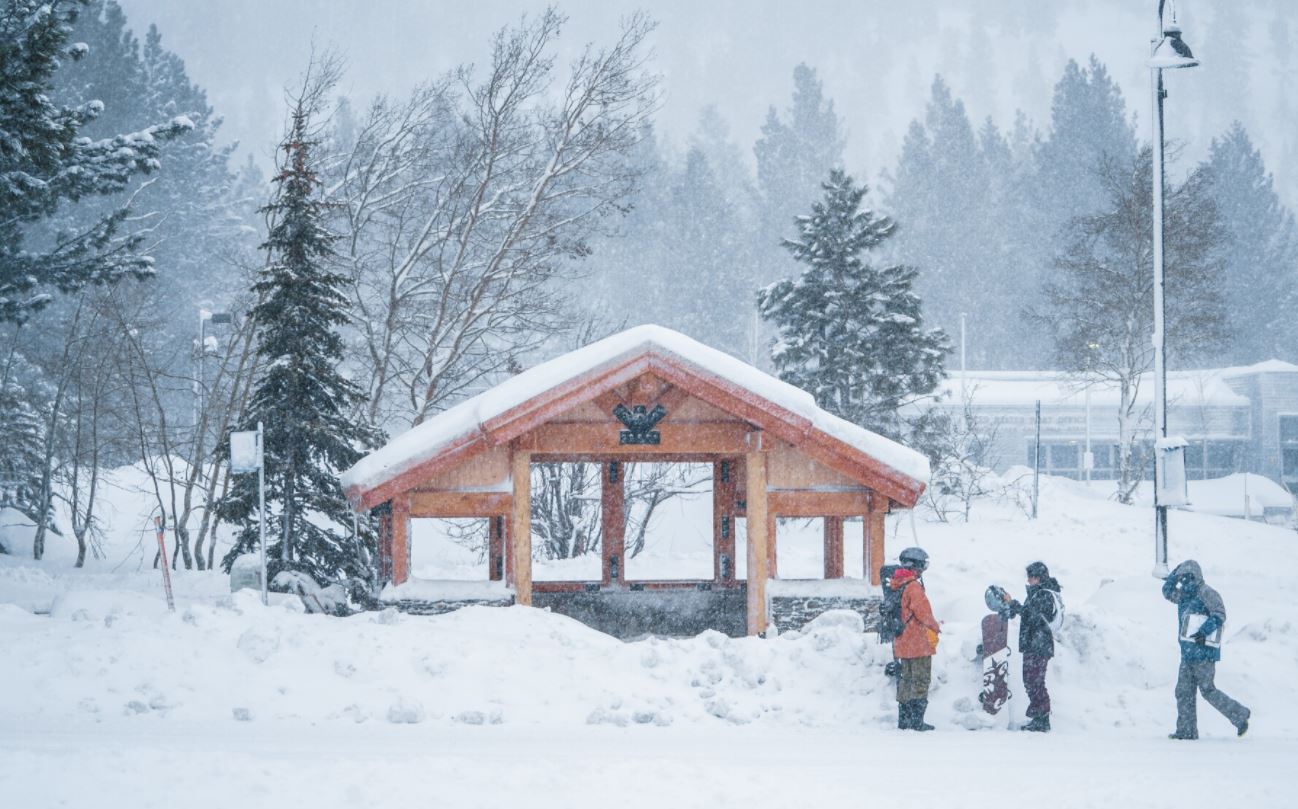 Kashmir: गुलमर्ग समेत इन इलाकों में भारी बर्फबारी, हवाई यात्राएं ठप