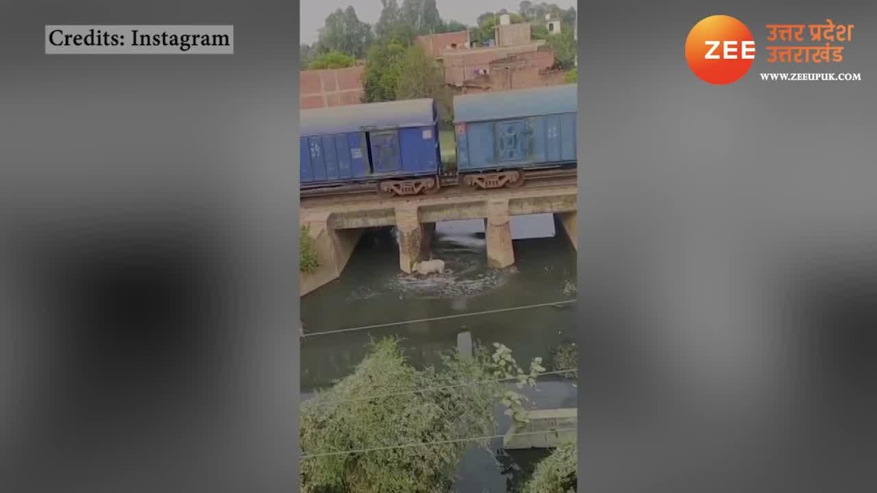 The train hit the cow standing on railway track watch shocking viral ...
