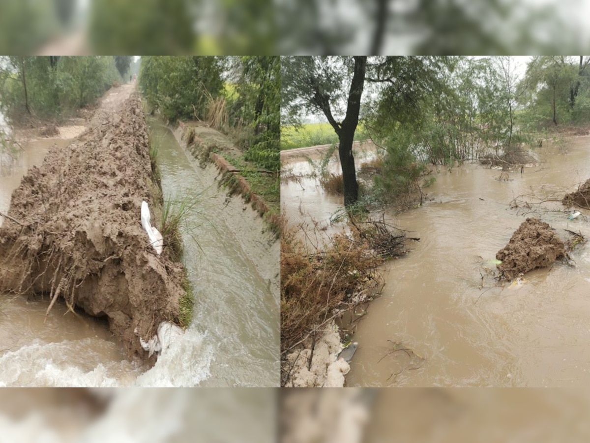 नहर में कटाव से आस-पास के खेतो में भरा पानी