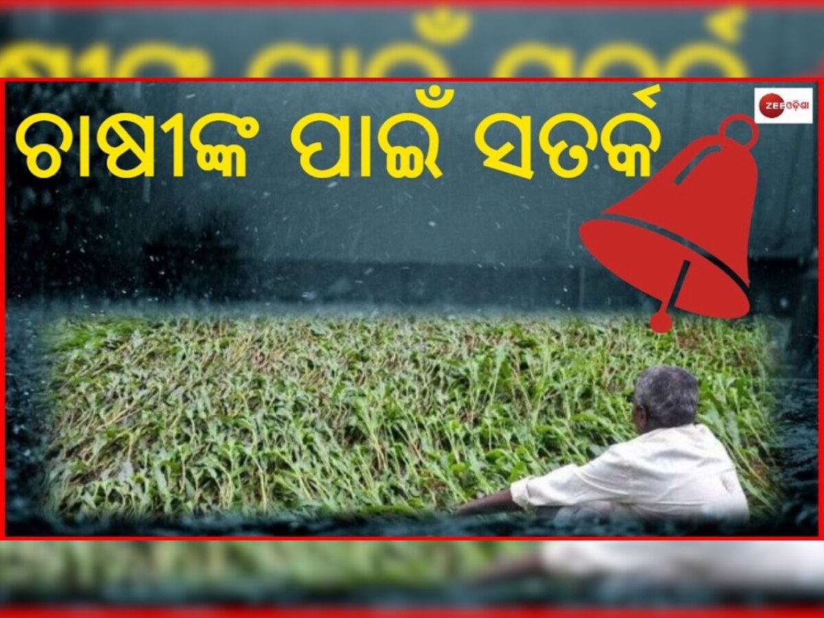 ମାଡ଼ିଆସୁଛି ବର୍ଷା; ୧୧ ରୁ ଏହିସବୁ ଜିଲ୍ଲାରେ ବଢିବ ବର୍ଷାର ପରିମାଣ 