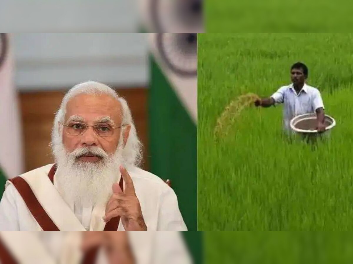 PM Kisan 10th Installment: लाखों किसानों को लौटाना होगा 10वीं किस्त का पैसा, जानें क्यों