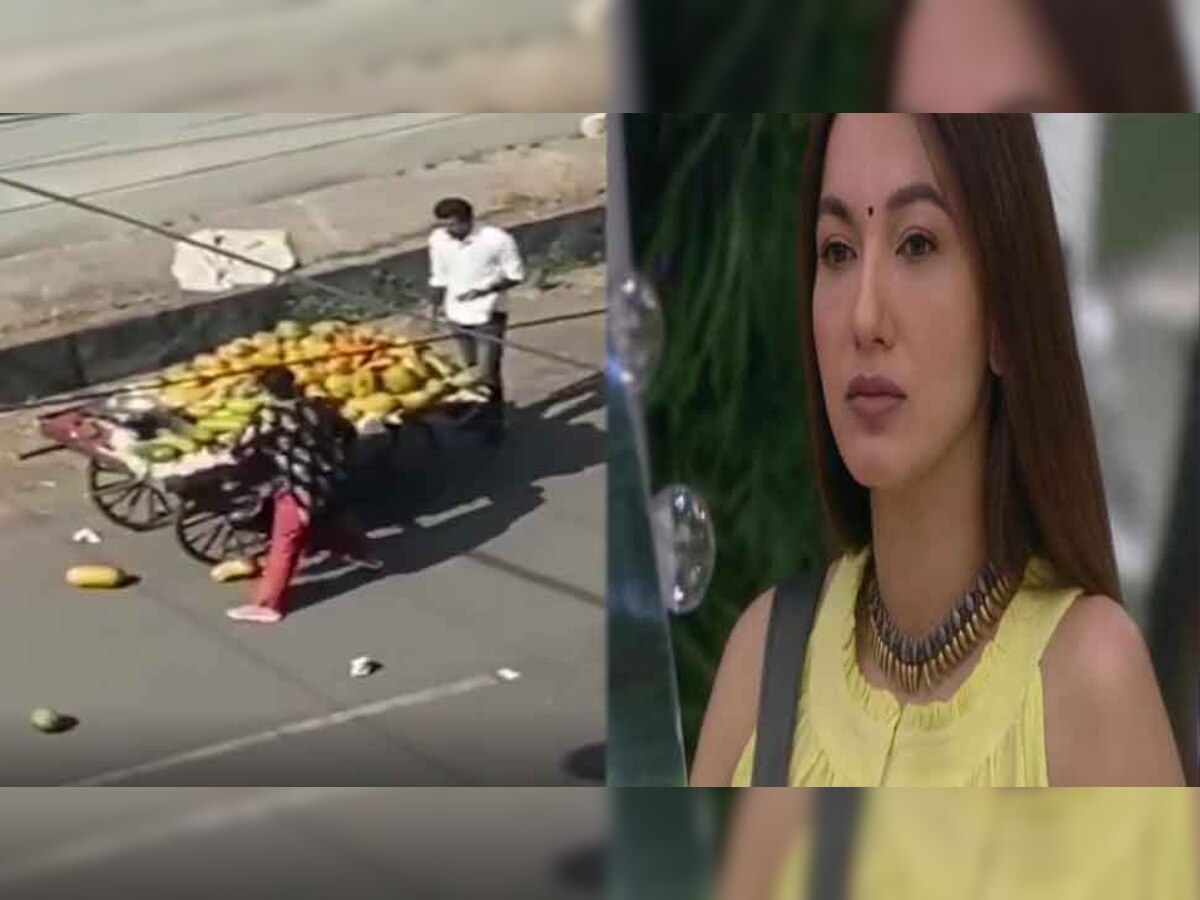 सड़क पर फल फेंकने वाली महिला प्रोफेसर पर भड़कीं गौहर खान, कही ये बड़ी बात