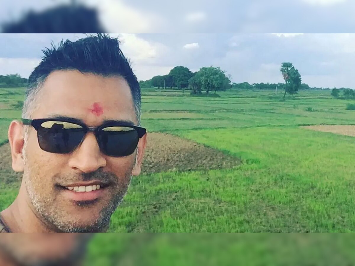 Viral Photos: क्रिकेट मैदान में नहीं, अपने खेतों में दिखे MS Dhoni, उगा रहे हैं ये फसल