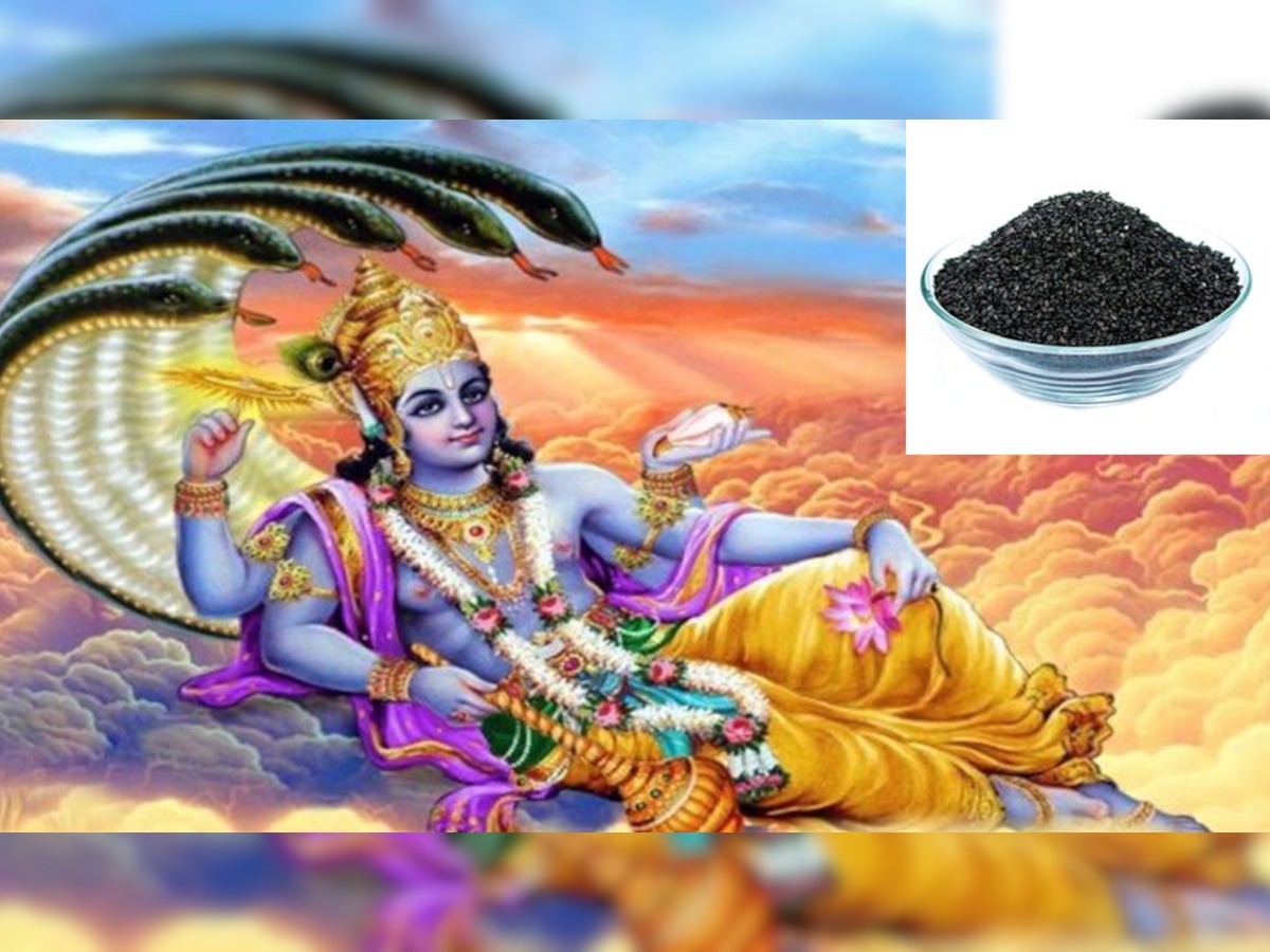 Shattila Ekadashi 2022 Use Sesame In 6 Ways On Shattila Ekadashi षट्तिला एकादशी पर जरूर करें 6