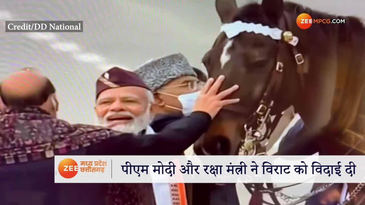 Horse Virat retires on Republic Day 2022 PM narendra Modi cute caress ...