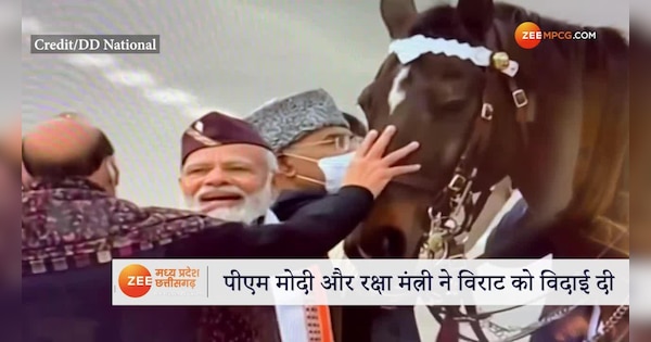 Horse Virat retires on Republic Day 2022 PM narendra Modi cute caress ...