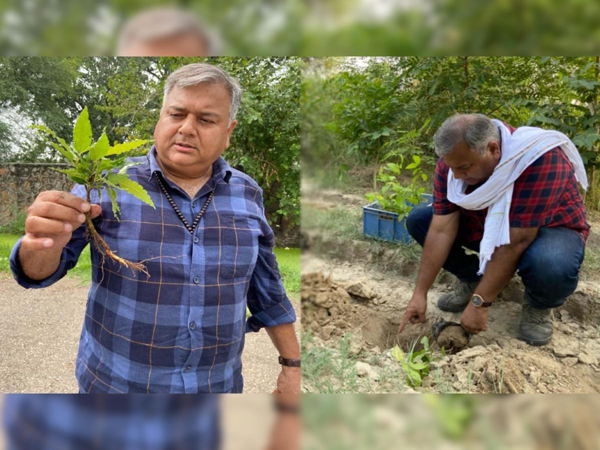 कहानी उस शख्स की जिसने रोप दिए 2 करोड़ 30 लाख पेड़, हरियाली को समर्पित किया जीवन