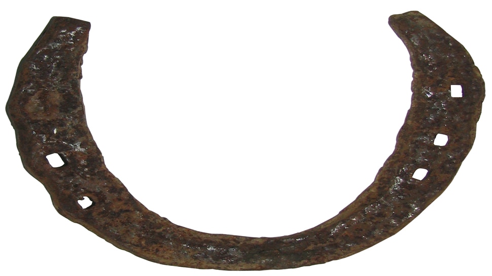 black horseshoe benefits for business career wealth and shani dosha