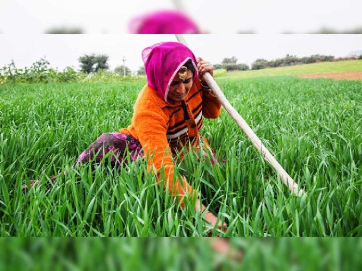 प्रतीकात्मक तस्वीर 