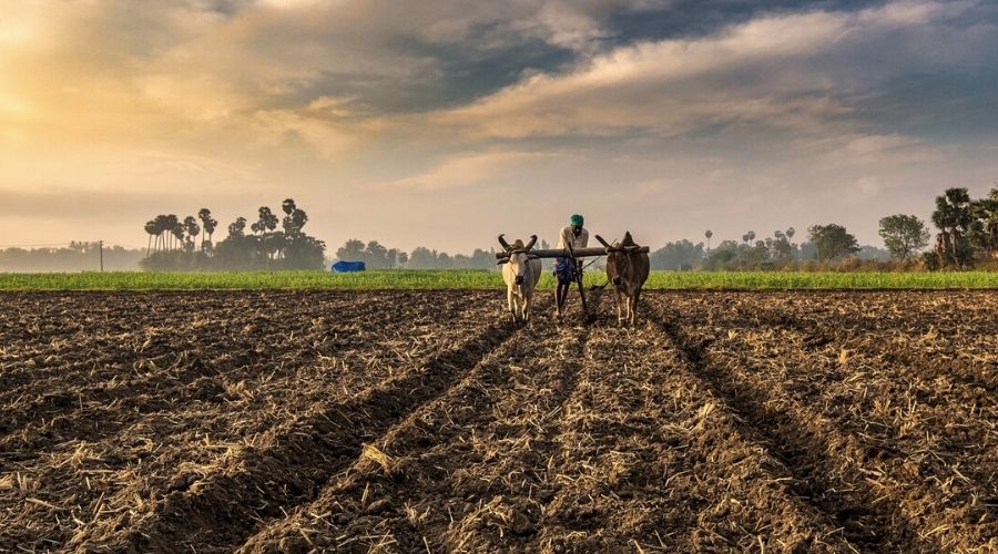 बजट 2022: कृषि क्षेत्र के लिए स्वागत योग्य घोषणाएं, गेम चेंजर है 'किसान ड्रोन': केसी रवि