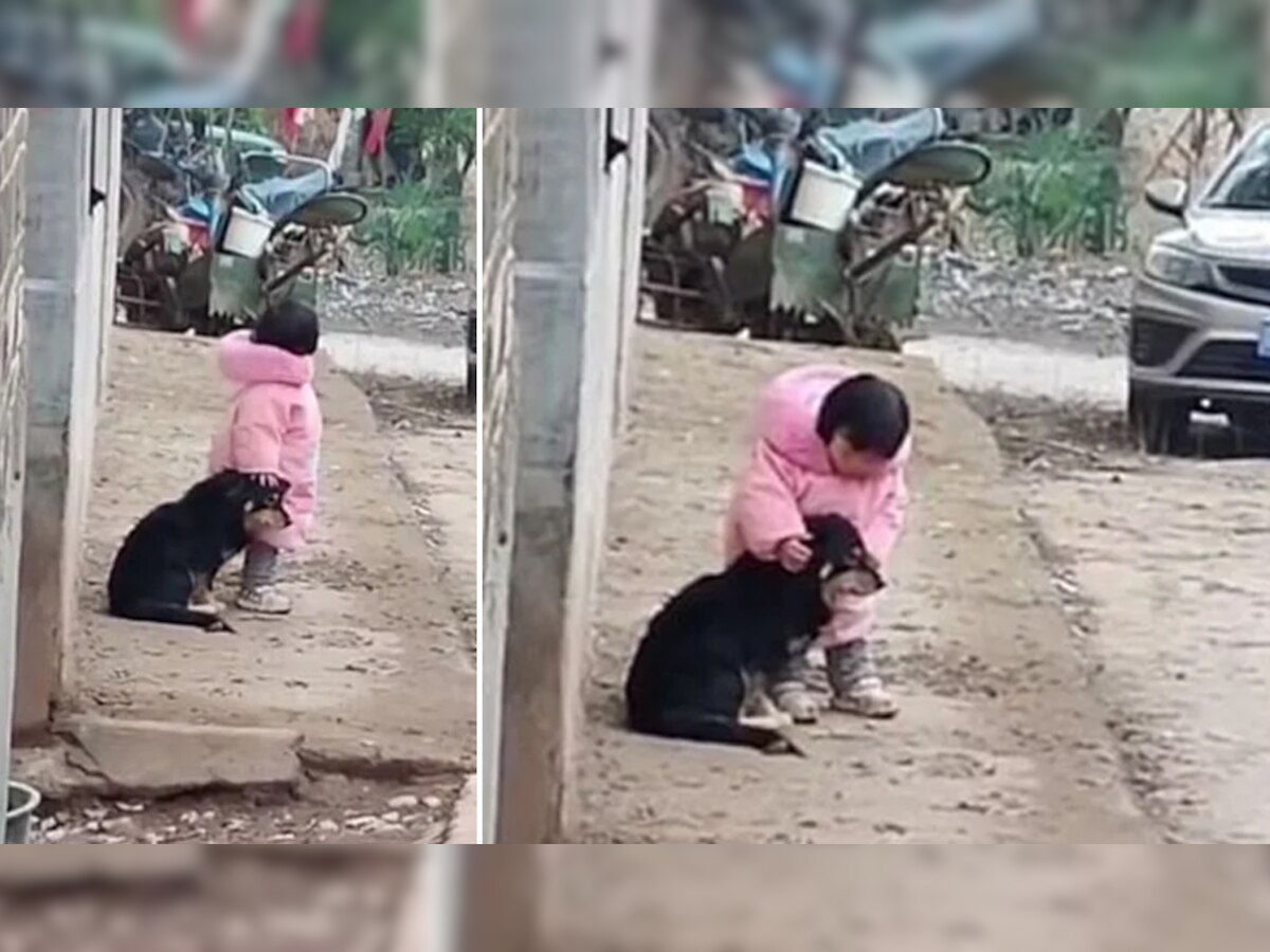 छोटी बच्ची ने थरथर कांप रहे कुत्ते के लिए किया ऐसा काम, देखकर आप खुद को महसूस करेंगे छोटा