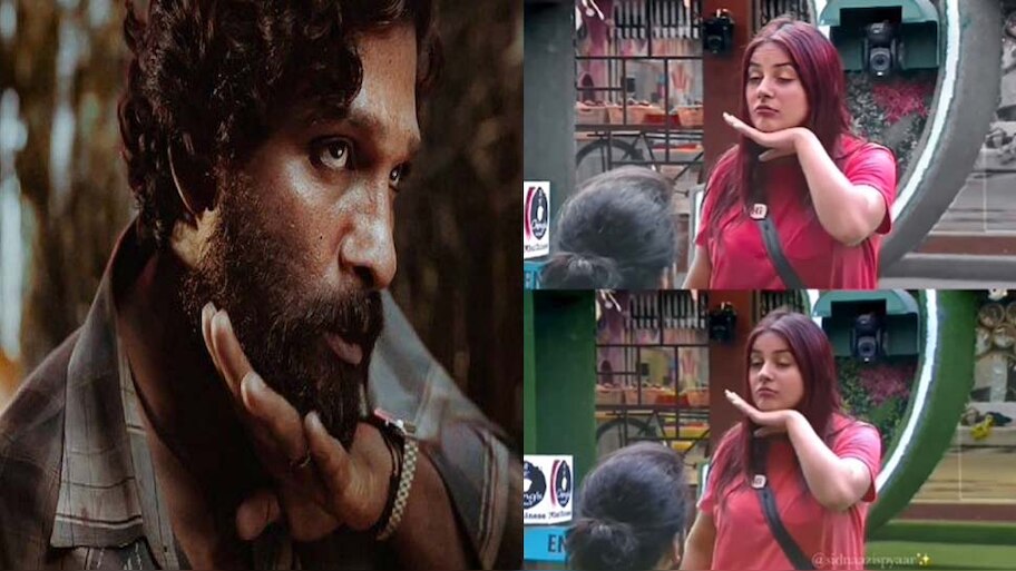 Shehnaaz Gill ने 2019 में ही Pushpa के इस स्टाइल को कर दिया था ईजाद; देखें Video
