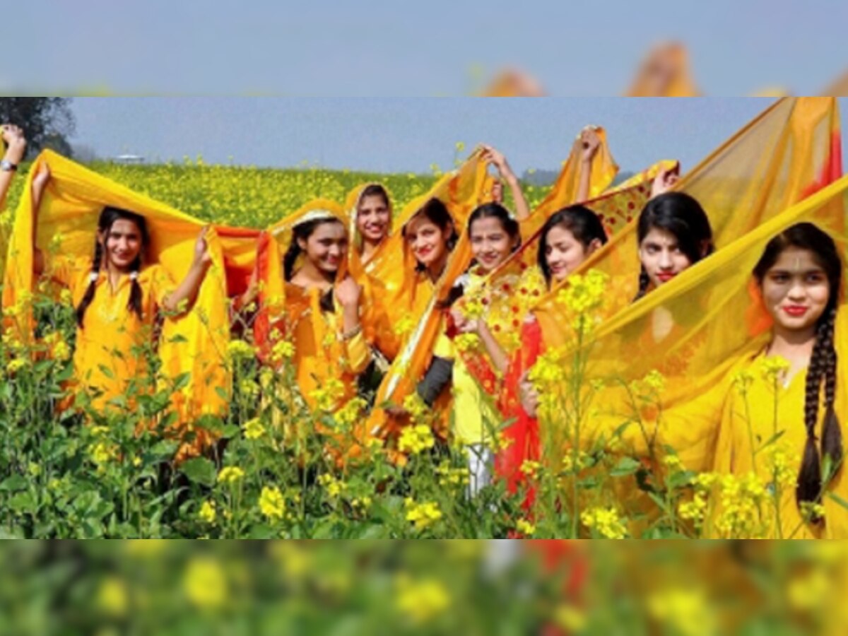 Basant Panchmi Yellow Colour: बसंत पंचमी पर क्यों जरूरी है पीला रंग, जानिए इससे जुड़ा रहस्य