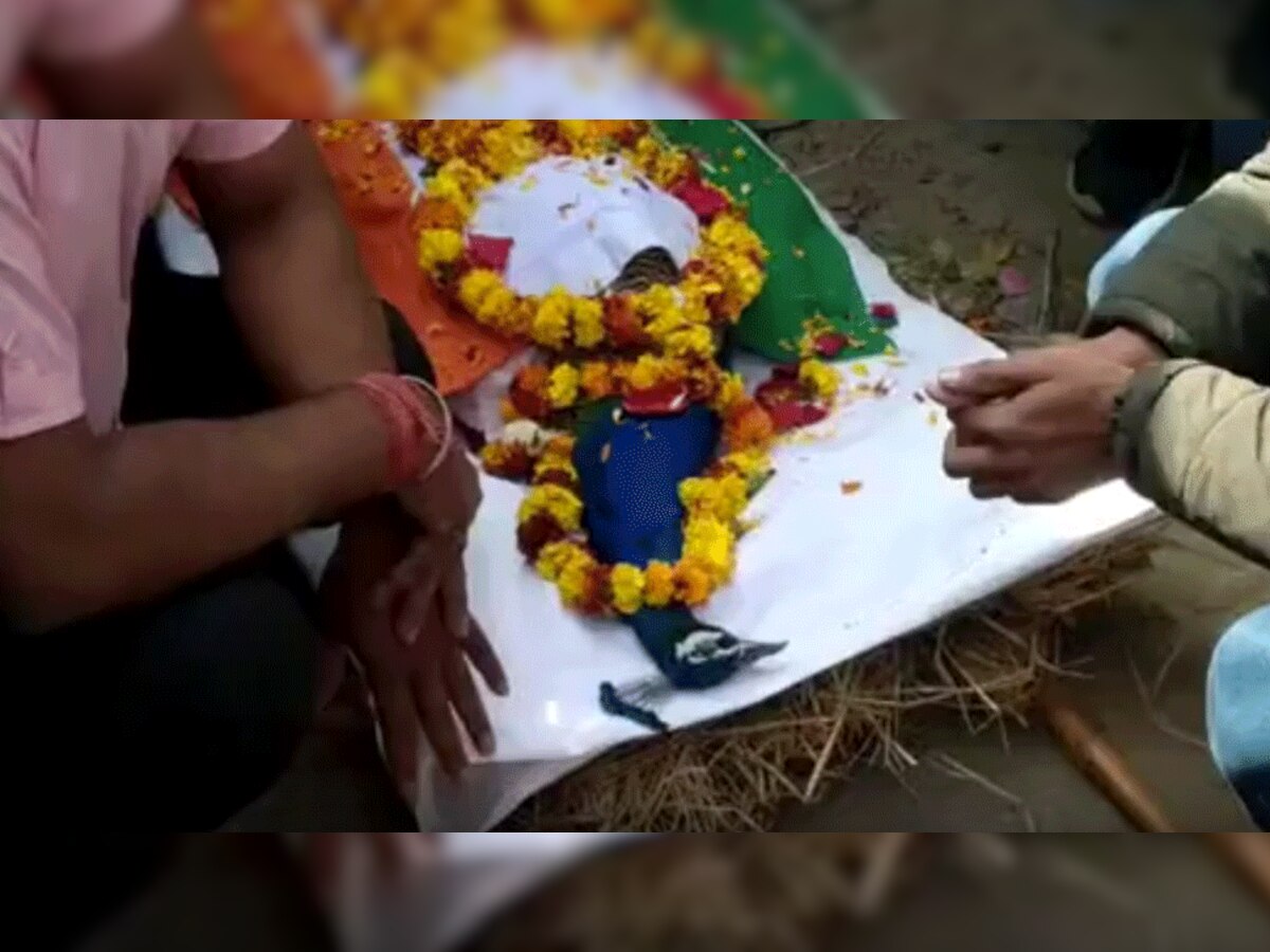 मोर की शहीदों जैसी अंतिम विदाई, तिरंगे में लपेटकर निकाली शवयात्रा 