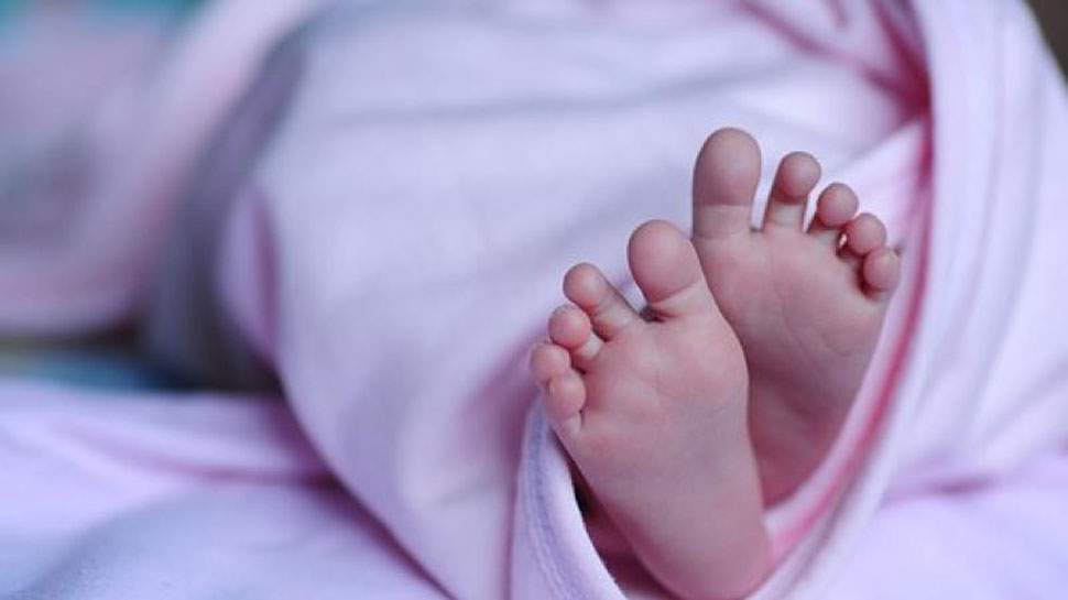 surat-gujarat-a-caretaker-threw-an-8-month-old-boy-on-the-bed-for-5