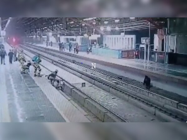 फोन पर बात करने के चक्कर में Delhi Metro ट्रैक पर जा गिरा शख्स; देखें Video