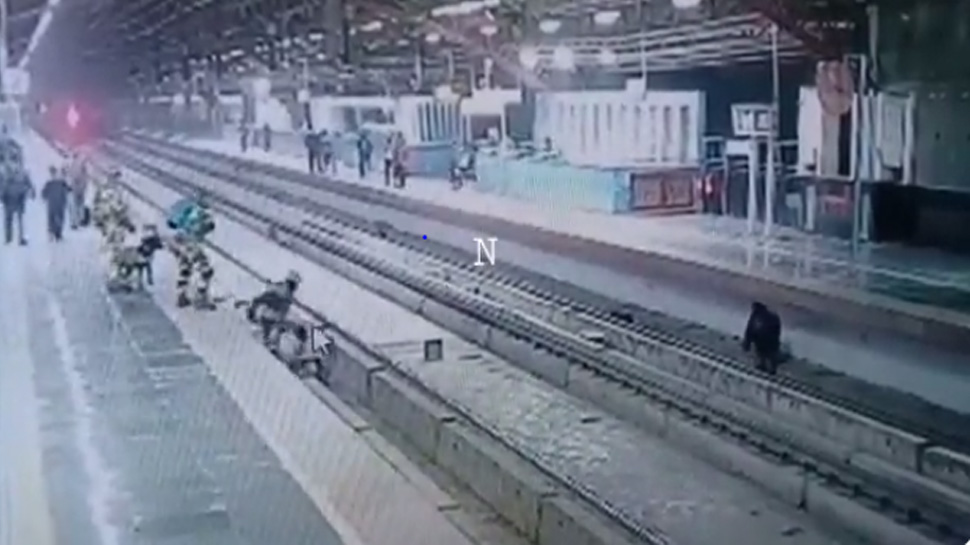फोन पर बात करने के चक्कर में Delhi Metro ट्रैक पर जा गिरा शख्स; देखें Video फोन पर बात करने के चक्कर में Delhi Metro ट्रैक पर जा गिरा शख्स; देखें Video