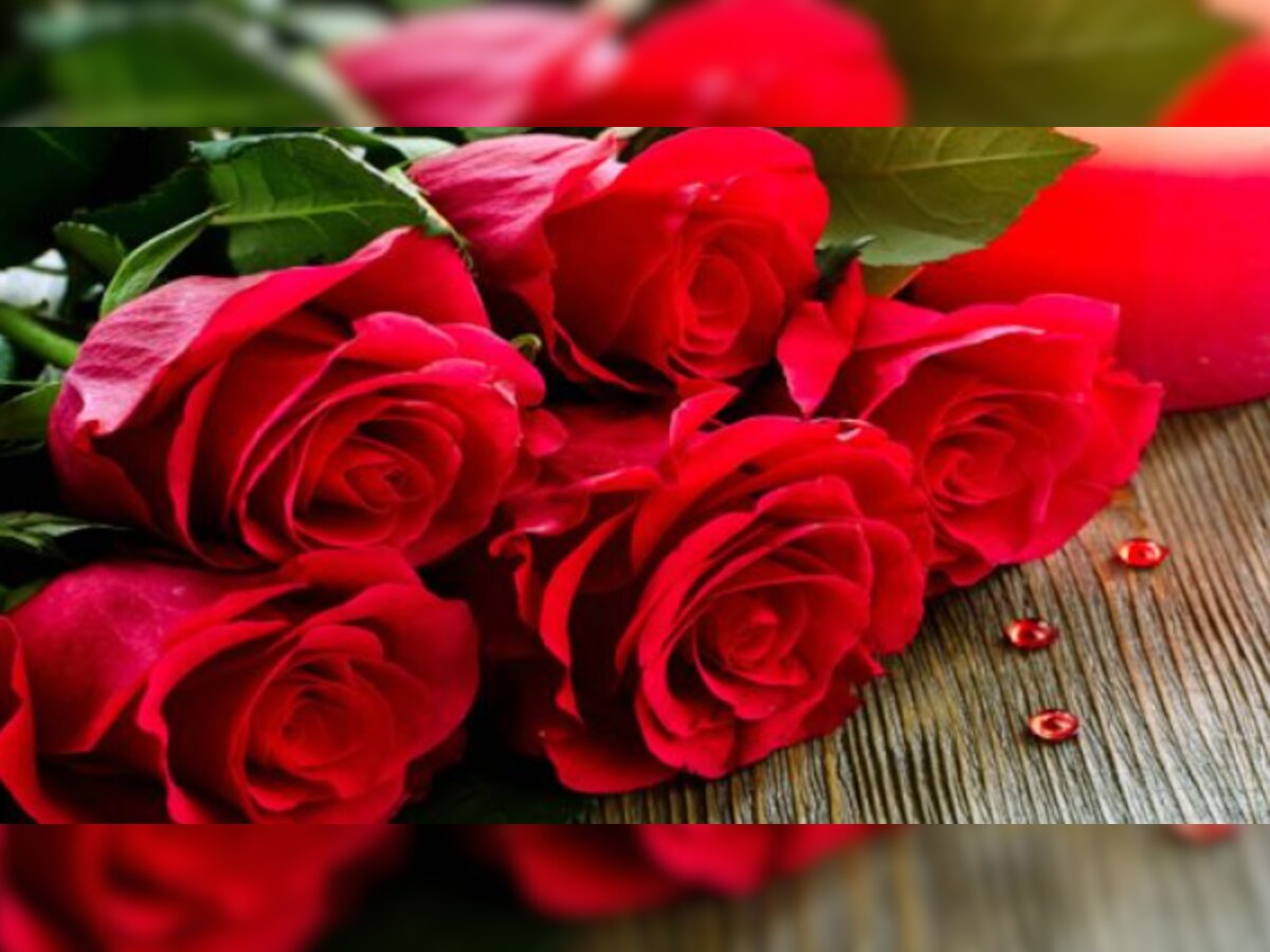 Valentine week: लाल गुलाब से करने जा रहे हैं इजहार तो रुकें, पहले देख लें अपनी राशि