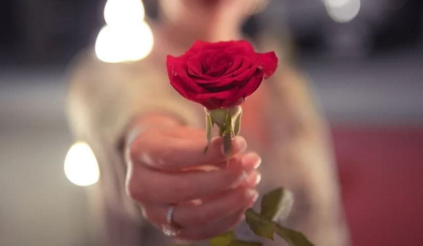 Happy Rose Day 2022: इन Messages के साथ दें पार्टनर को गुलाब, इस तरह रोमांटिक बनाएं दिन