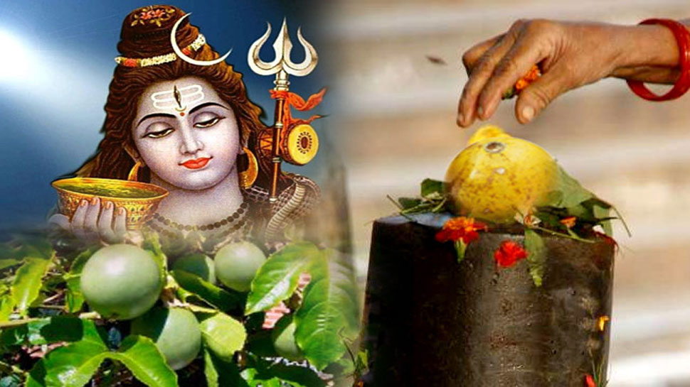 It Is Very Auspicious To Offer These Things On Shivling On The Day Of Mahashivratri Know The 7454