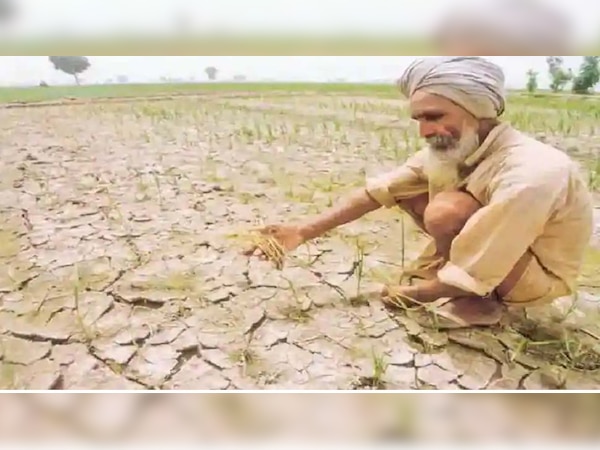 अलामती तस्वीर 