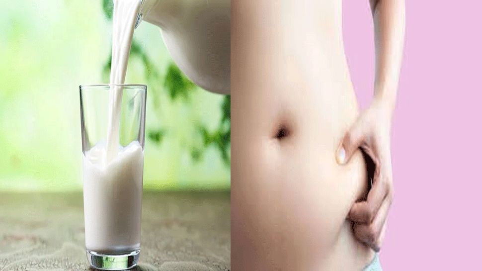 Milk For Weight Loss during dieting know what should drink or not | Weight Loss: कहीं आपके मोटापे की वजह दूध तो नहीं, जानिए वजन कम करने के दौरान दूध पीना चाहिए